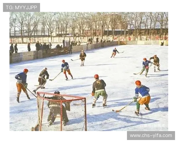 开云体育中国：引领中国体育产业新发展潮流的先锋力量